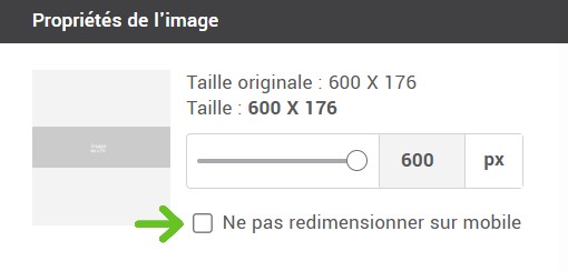 Ne pas redimensionner sur mobile